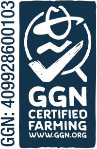GGN