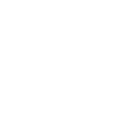 d-standard